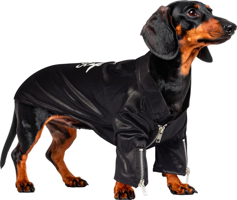 Rubies Grease: T-Birds Pet Costume for For Dogs or Cats by Rubies, Large - Image 2